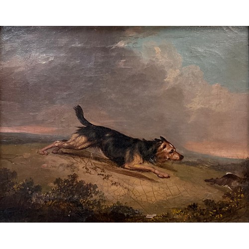 881 - English School (19th century) 
A Terrier 
oil on canvas, 19.5cm x 24.5cm.