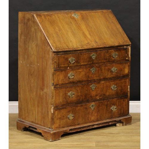 1538 - A George II crossbanded walnut bureau, fall front enclosing a fitted interior, above four long gradu... 