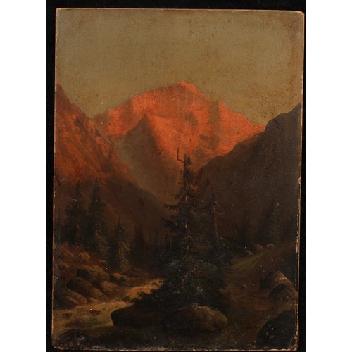 1068 - Continental School (19th century) 
Alpine Landscape 
indistinctly signed, oil on board, 28.5cm x 21c... 