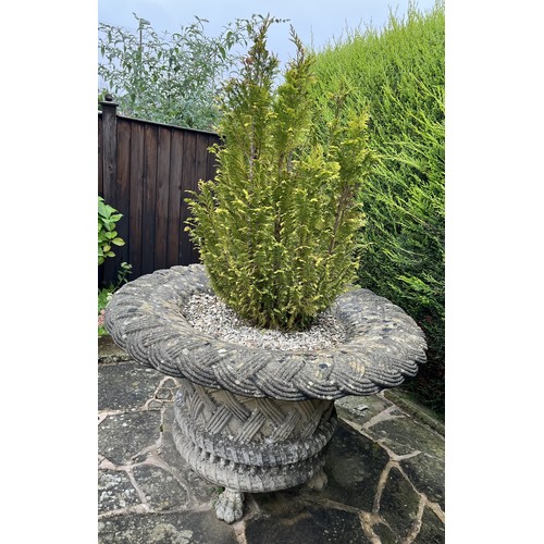 1991 - A large Haddonstone type ‘basket weave’ inverted circular garden urn, lion paw feet, planted with co... 