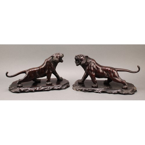 1401 - Japanese School (Meiji period), a pair of two-tone brown patinated bronzes, of tigers, prowling, sig... 