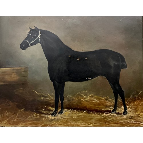 938 - C H Stanley
Black Hunter standing in a Stable Interior
signed, oil on board, 33cm x 40cm