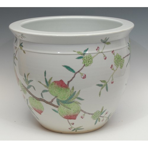 1198 - A Chinese fish bowl or jardinière, hand-painted with pomelo fruits and root vegetables, 38cm diamete... 