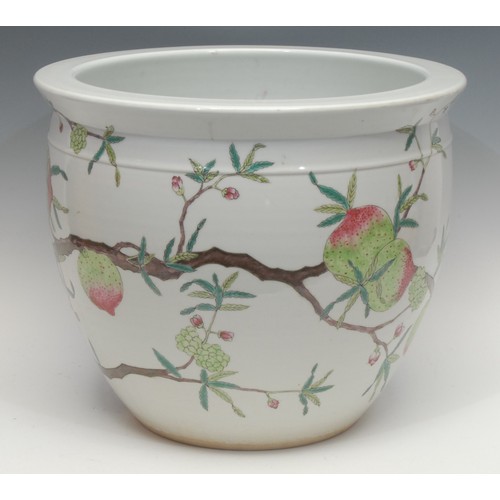 1198 - A Chinese fish bowl or jardinière, hand-painted with pomelo fruits and root vegetables, 38cm diamete... 