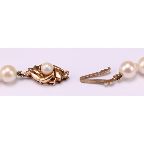 608 - A long singlestrand pearl necklace, 9ct gold clasp, 122cm long