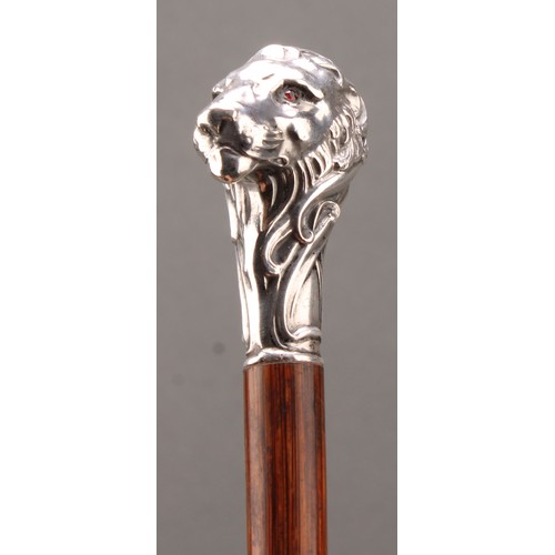 1759 - An Art Nouveau silver mounted walking stick, the pommel as a lion's head, ruby eyes, palmwood cane, ... 