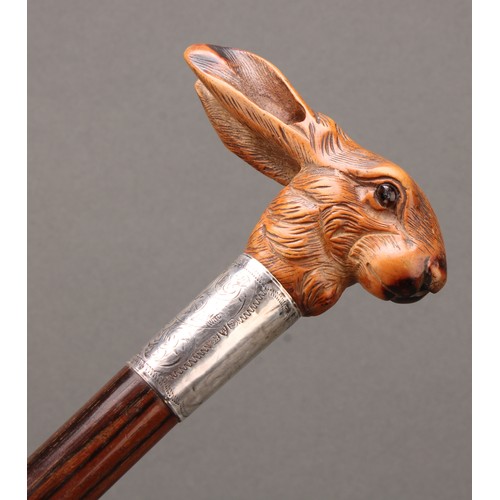 1748 - A George V silver collar walking stick, the boxwood handle as a hare's head, glass eyes, oak cane, 8... 