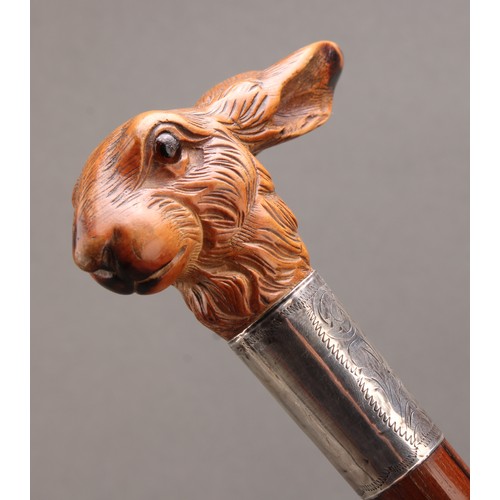 1748 - A George V silver collar walking stick, the boxwood handle as a hare's head, glass eyes, oak cane, 8... 