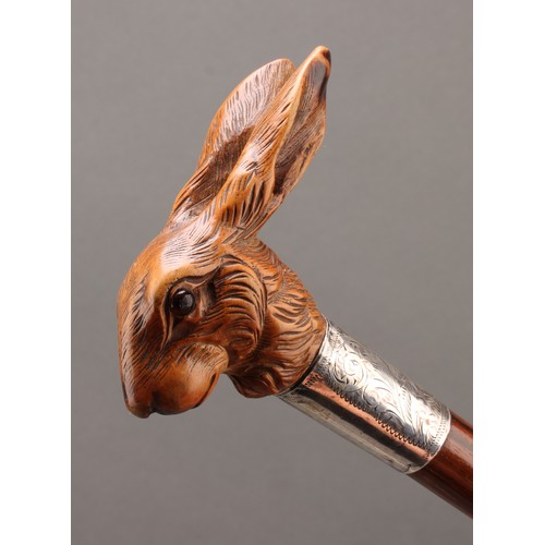 1748 - A George V silver collar walking stick, the boxwood handle as a hare's head, glass eyes, oak cane, 8... 