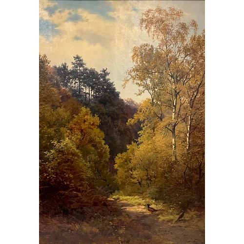 1120 - Henry Cheadle (1852-1910) 
Pheasants in a Wooded Valley 
signed, dated 91, oil on canvas, 57cm x 39c... 