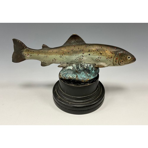 1702 - A 19th century cold-painted bronze, as a sea trout fish, mounted for display, 17cm long