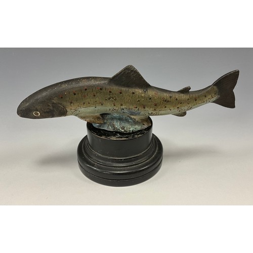 1702 - A 19th century cold-painted bronze, as a sea trout fish, mounted for display, 17cm long