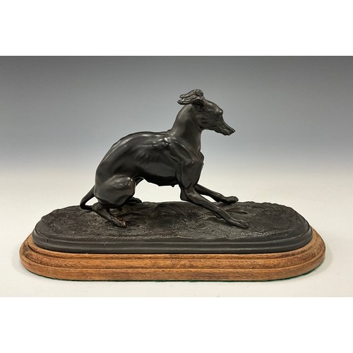 1645 - A dark patinated figural bronze, as a greyhound skidding to a stop, softwood base, 14.5cm high, 25cm... 