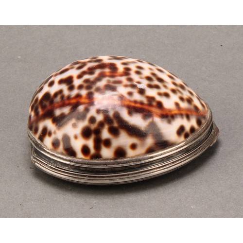 72 - A George III silver mounted cowrie shell snuff box, hinged cover, gilt interior, 8cm long, maker's m... 