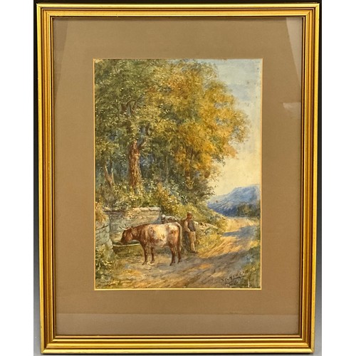 920 - Squire Howards (British fl. 1882-1895) 
A Bull at a Water Trough 
signed, watercolour, 35cm x 25cm.