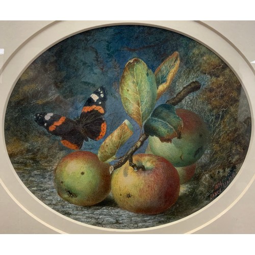 1095 - Lance Major (19th century)
Fallen Fruit and a Red Admiral Butterfly
signed, dated 1871, watercolour,... 