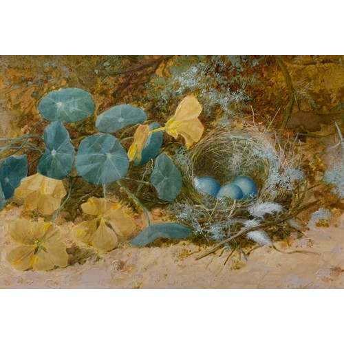 1105 - William Cruickshank (British, 1848-1922) 
Bird's Nest, Feathers, and Buttercups 
signed, watercolour... 