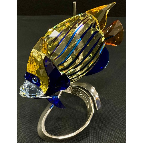 40 - Swarovski Emperor Angelfish, with box, 12cm high.