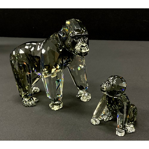 43 - Swarovski crystal from The Endangered Wildlife series ‘Gorillas’ coloured crystal models, long, with... 