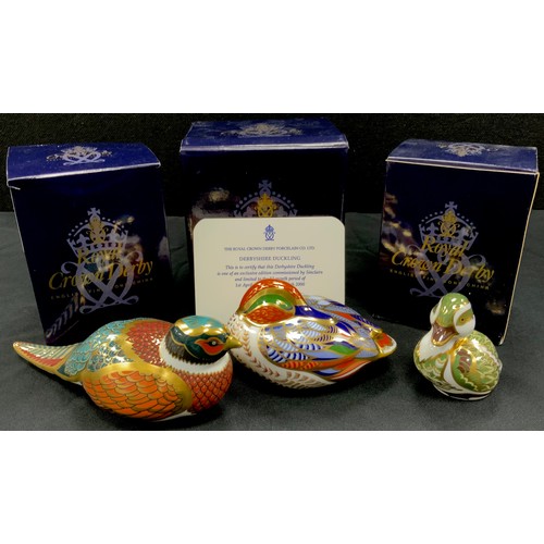 62 - Royal Crown Derby paperweights including; Woodland Pheasant, Teal, Derbyshire Duckling, with certifi... 