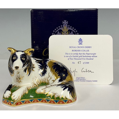 5030 - A Royal Crown Derby paperweight, Border Collie,  gold backstamp limited edition, 47/2,500, gold stop... 