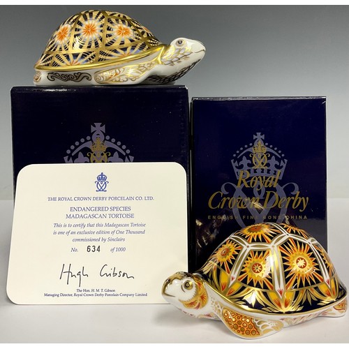 5105 - A Royal Crown Derby paperweight, Madagascan Tortoise - Endangered Species, Sinclairs exclusive, limi... 