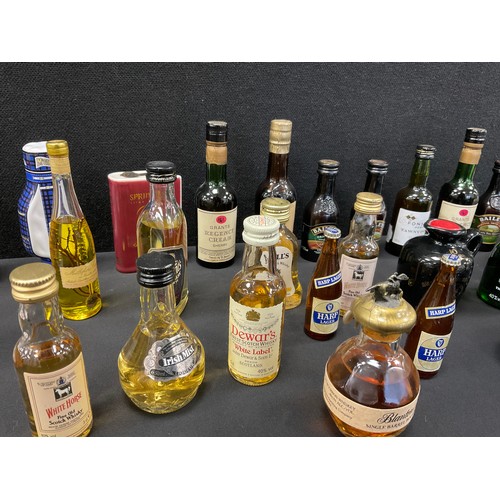 601 - Miniatures  - Whisky, Rum Port etc inc Haigs Dimple, Speyside 17 year old, Tobermory,  Rutherfords t... 