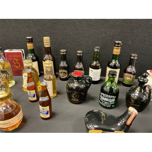 601 - Miniatures  - Whisky, Rum Port etc inc Haigs Dimple, Speyside 17 year old, Tobermory,  Rutherfords t... 