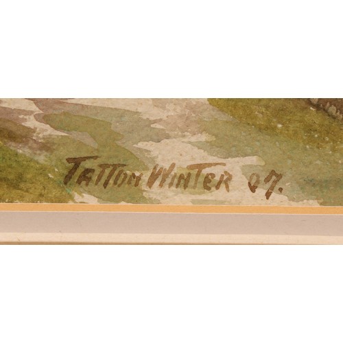 415 - William Tatton Winter, RBA, (1855-1928), 
Henkley Common, 
signed, dated ‘07, watercolour, 23cm x 36... 