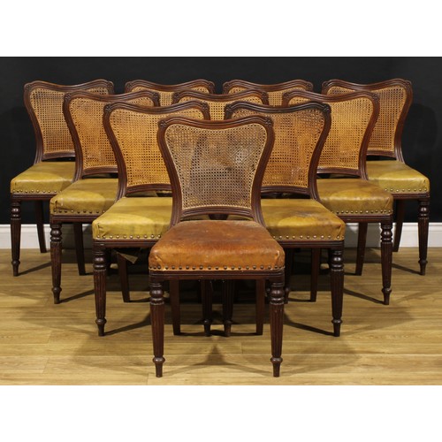 2457 - A set of ten Victorian mahogany dining chairs, in the manner of Gillows of Lancaster and London, car... 