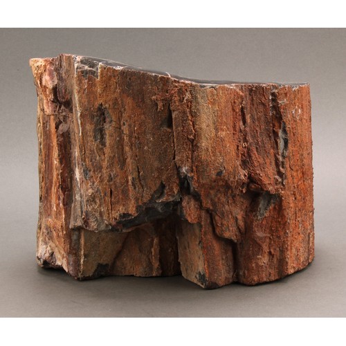 2565 - Palaeoxylology - a fragmentary stump of petrified or fossilised wood, 21cm high, 25cm wide, 17.5cm d... 