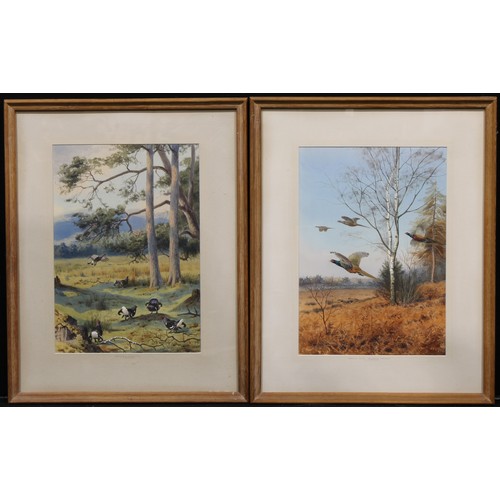 379 - John Cyril Harrison (1898-1985)
A pair, Breaking Cover, Melanistic Pheasant, and Blackcock Displayin... 