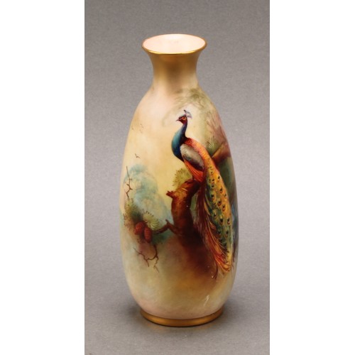 151 - A Royal Worcester ovoid vase, painted by FJ Bray, signed, decorated with a peacock in a pine tree, 1... 