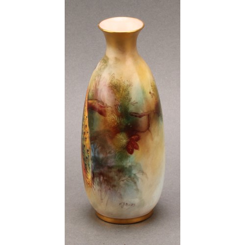 151 - A Royal Worcester ovoid vase, painted by FJ Bray, signed, decorated with a peacock in a pine tree, 1... 