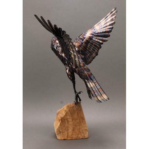 2191 - Tim Cotterill (English, bn. 1950), blued steel sculpture, of a bird of prey taking flight, mounted o... 