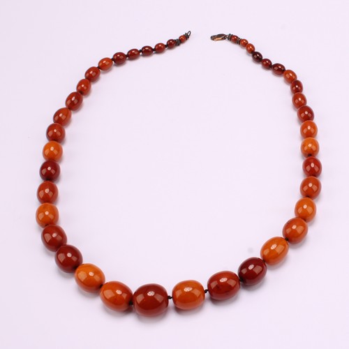 1251 - An Amber graduated bead knotted single strand necklace with 