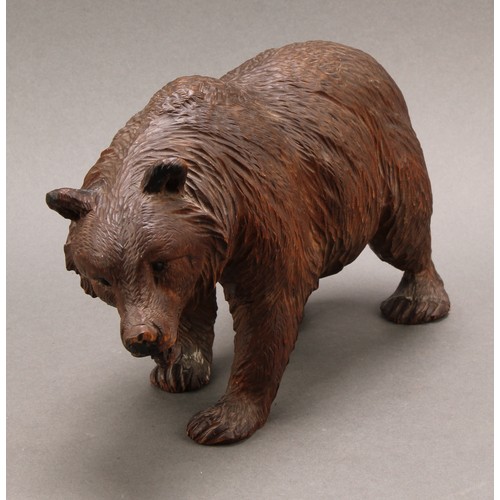 2215 - A Black Forest bear, naturalistically carved 22cm long, c.1900