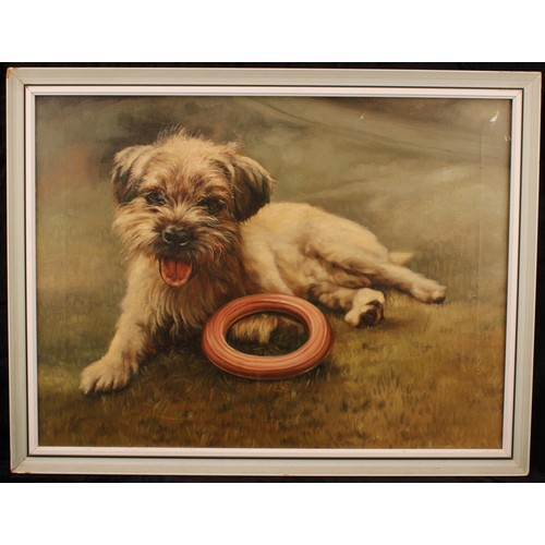 330 - English School (20th century) 
Portrait of a Border Terrier 
unsigned, oil on canvas, 45cm x 60m