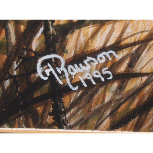 570 - H. Rawson (English School, 20th century) 
A Coalition of Cheetahs 
signed, dated 1995, gouache, 46cm... 