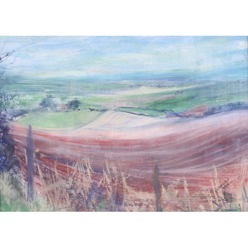 486 - C. Somerset (English School, 21st century) 
On Top of the Downs 
signed, dated 2003, pastel, 41cm x ... 