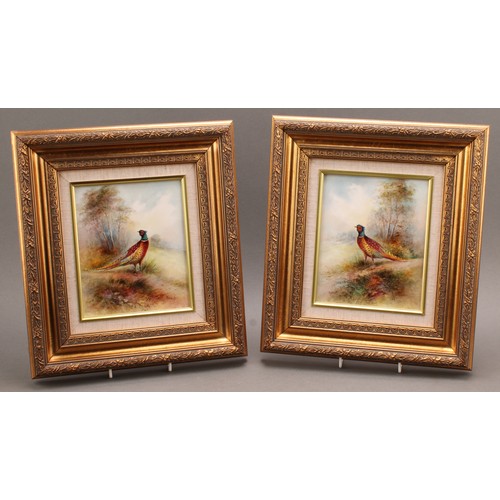 103 - A pair of rectangular porcelain plaques, painted by T. G. Abbotts, signed, with pheasants in woodlan... 