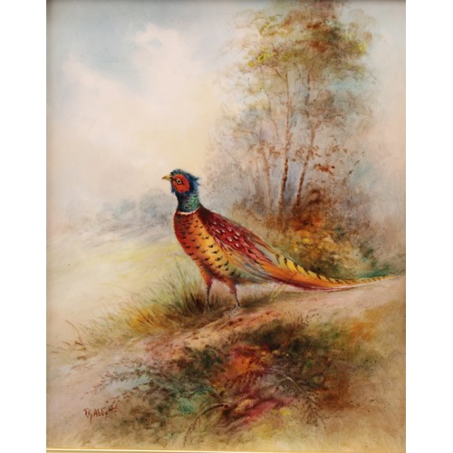 103 - A pair of rectangular porcelain plaques, painted by T. G. Abbotts, signed, with pheasants in woodlan... 