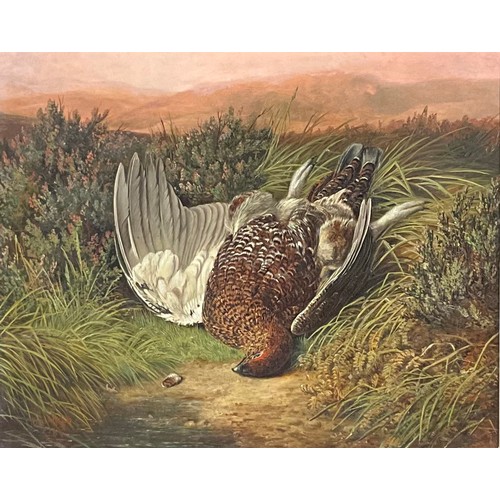 348 - Benjamin Hold (1847-1917)
A pair, Scottish Grouse,
signed, dated 1898, 41.5cm x 51cm