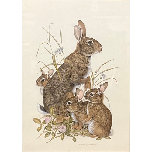 503 - Patrick Oxenham (1922-1996)
Rabbits
watercolour and gouache, 46cm x 33cm; another, hedgehogs, 33cm x... 