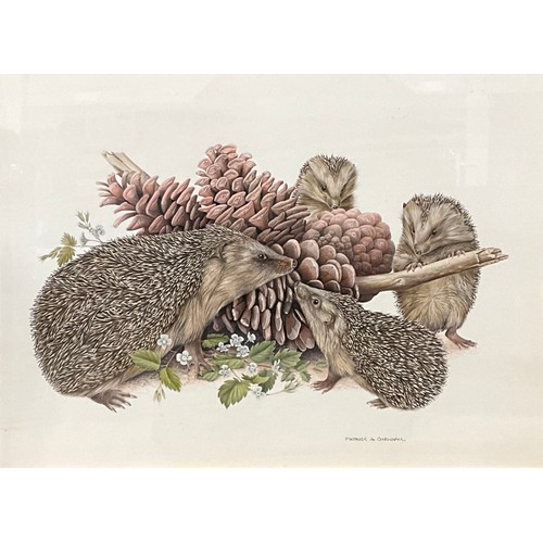 503 - Patrick Oxenham (1922-1996)
Rabbits
watercolour and gouache, 46cm x 33cm; another, hedgehogs, 33cm x... 