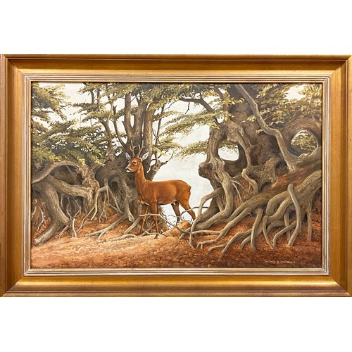 466 - Patrick Oxenham (1922-1996)
Deer in a Clearing,
signed, oil on canvas, 49cm x 77cm