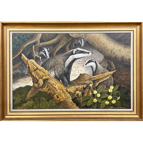 467 - Patrick Oxenham (1922-1996)
The Badger Sett,
signed, oil on canvas, 54.5cm x 85cm