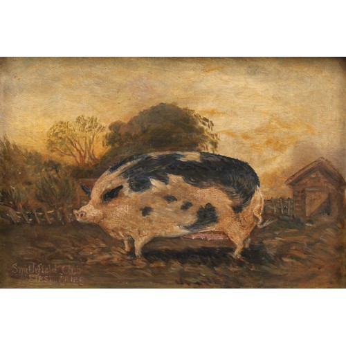 333 - English School (early 20th century)
Prize Pig, Smithfield Club, First Prize,
oil on canvas, 16.5cm x... 