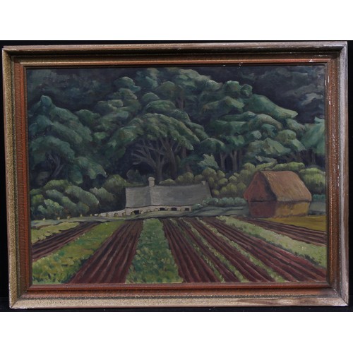 545 - Naive School (20th century)
Partly Ploughed
indistinctly signed, oil on canvas, 44cm x 59.5cm