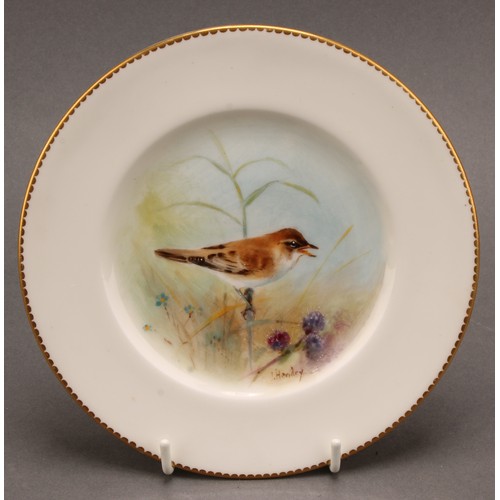 159 - A set of four Royal Worcester tea plates, painted by J. Hendry, signed, with named birds, Reed Warbl... 